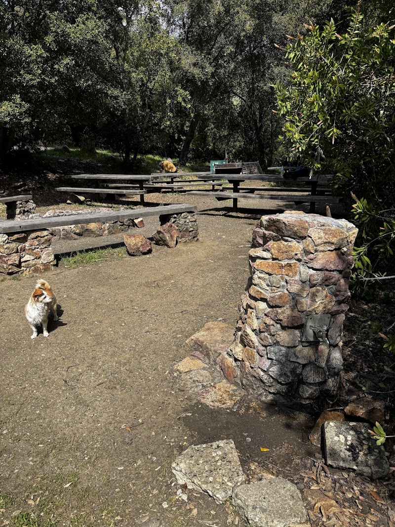 Arroyo Flats Group Camp photo 3