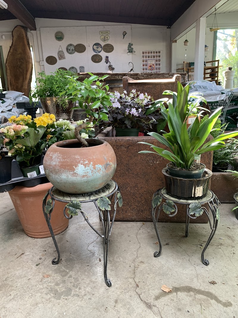 Photo of Sanz Shop & Nursery