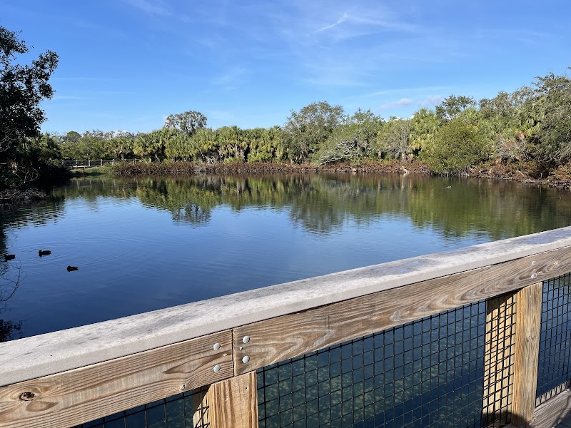 Wall Springs Park Observation Tower photo 5