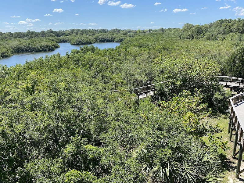 Wall Springs Park Observation Tower photo 2