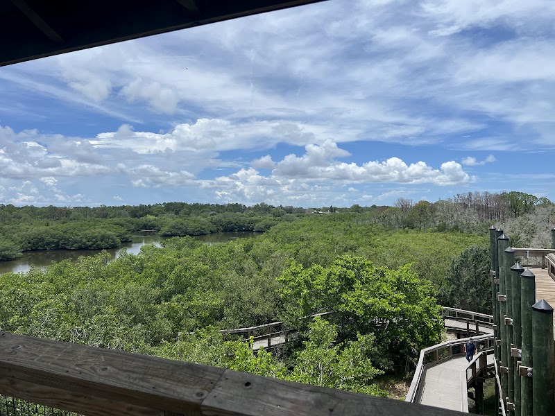 Wall Springs Park Observation Tower photo 3