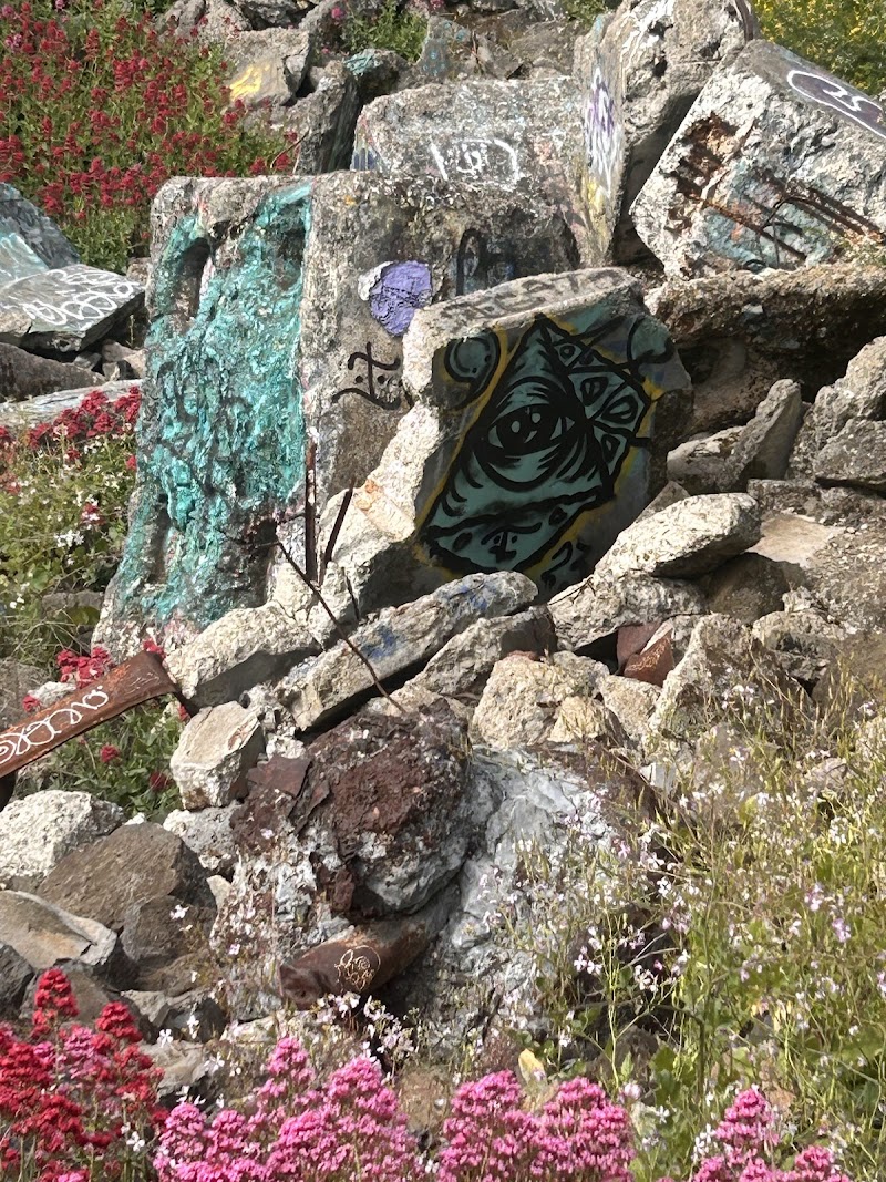 Albany Stone Run photo 4