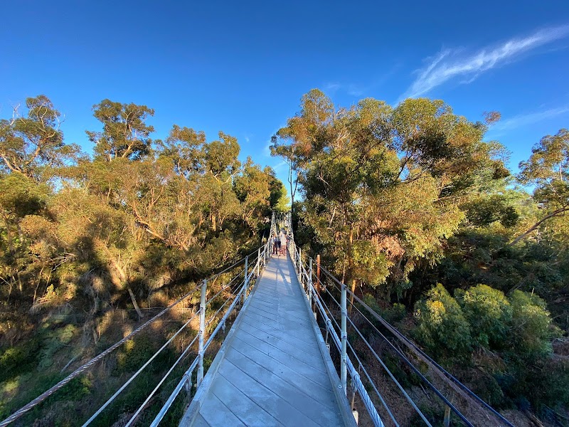 Photo of Spruce Street Suspension Bridge