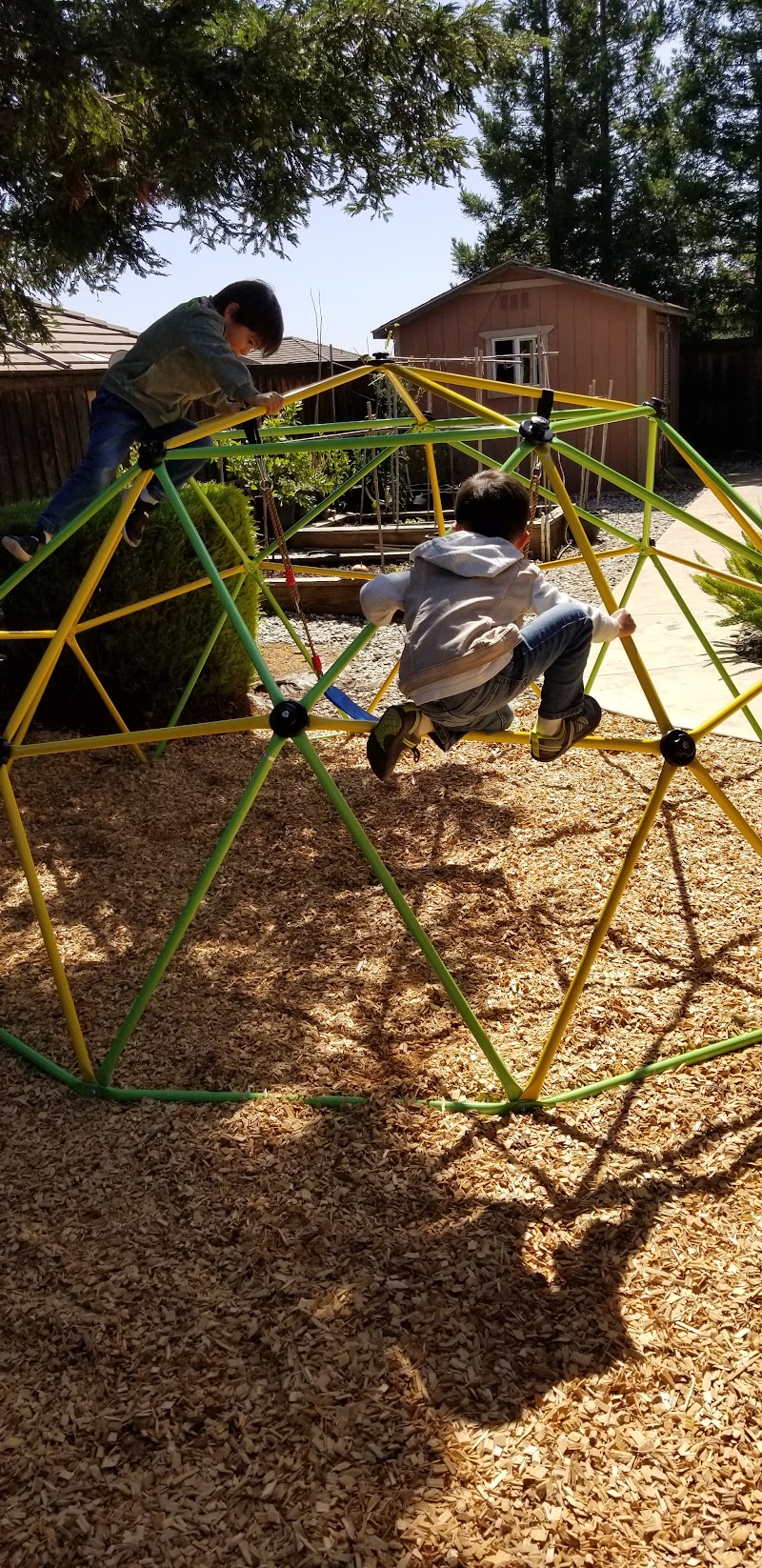 Valley Blossoms Montessori Preschool. LIC# 485408409 photo 3