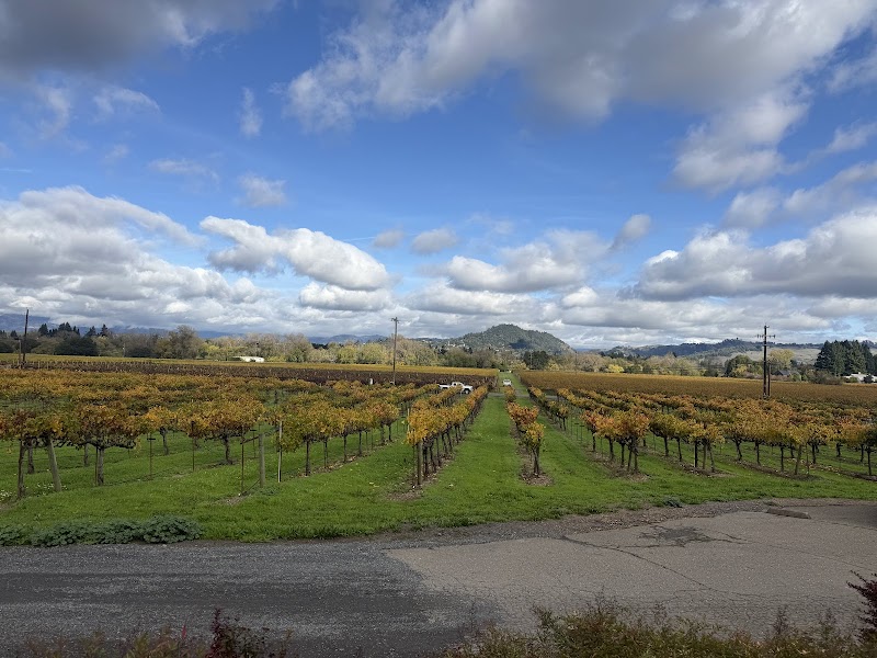 Getaway Adventures/Wine Country Bikes photo 2