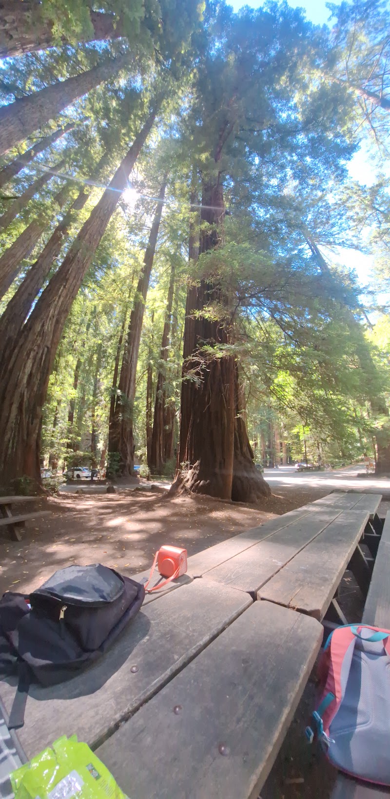 Redwood Forest Theater photo 4
