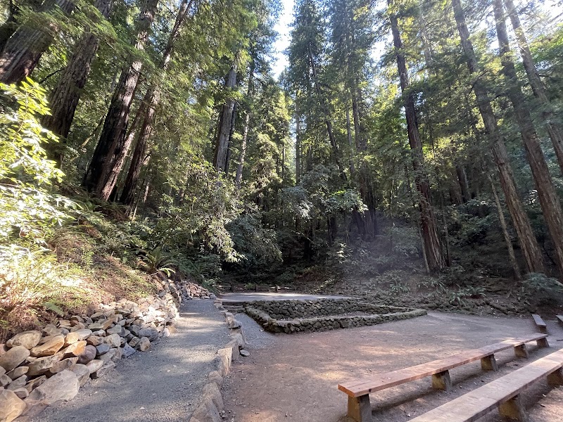Photo of Redwood Forest Theater