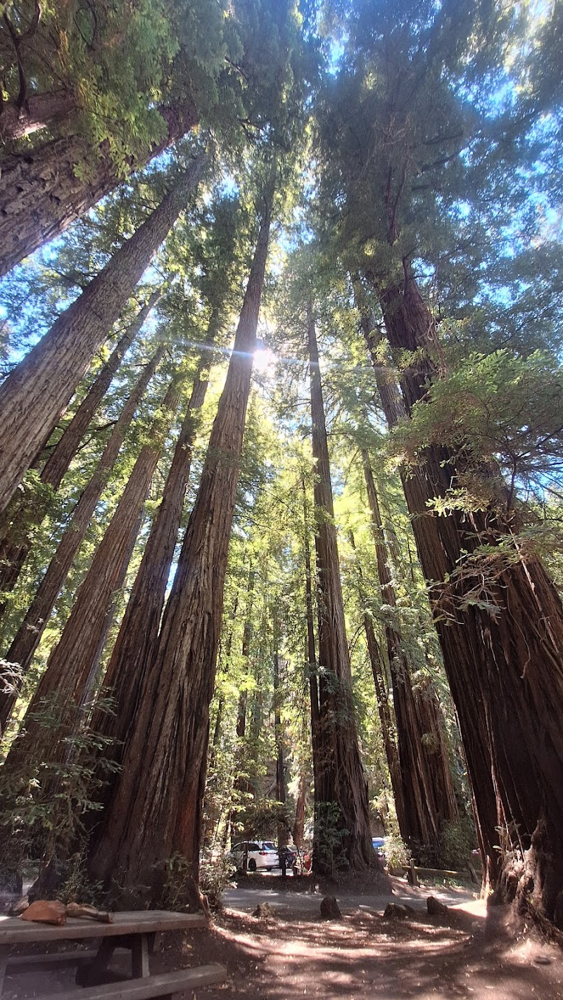 Redwood Forest Theater photo 3