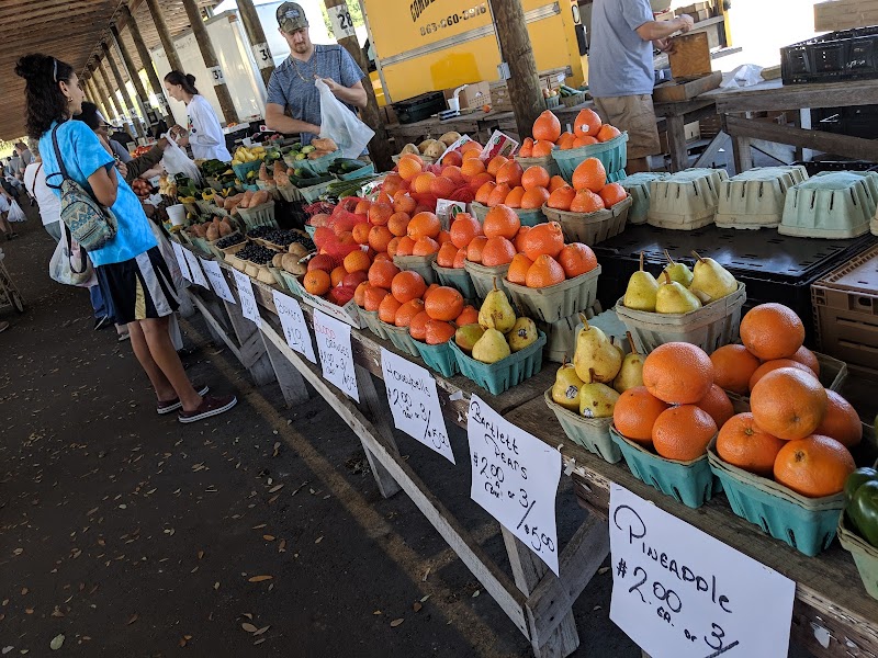 WEBSTER FLEA MARKET - SUMTER COUNTY FARMERS MARKET photo 4