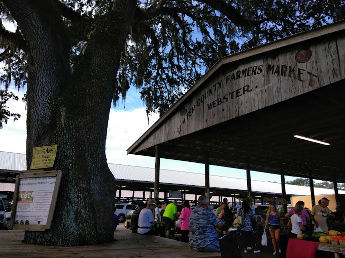 Photo of WEBSTER FLEA MARKET - SUMTER COUNTY FARMERS MARKET