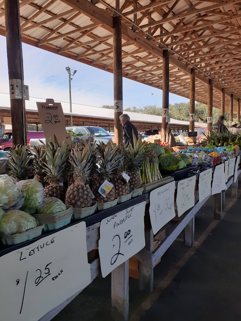 WEBSTER FLEA MARKET - SUMTER COUNTY FARMERS MARKET photo 5