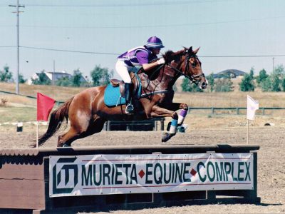 Beare Equestrian Services & Training photo 2