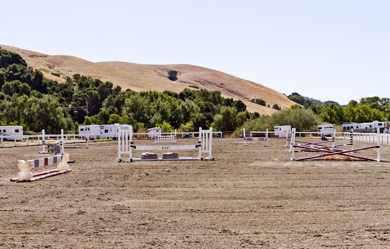 Beare Equestrian Services & Training photo 5