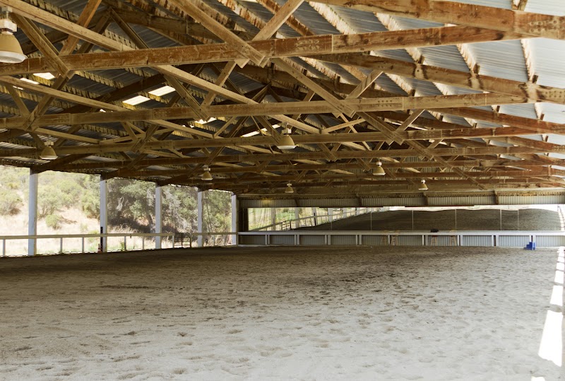Beare Equestrian Services & Training photo 3