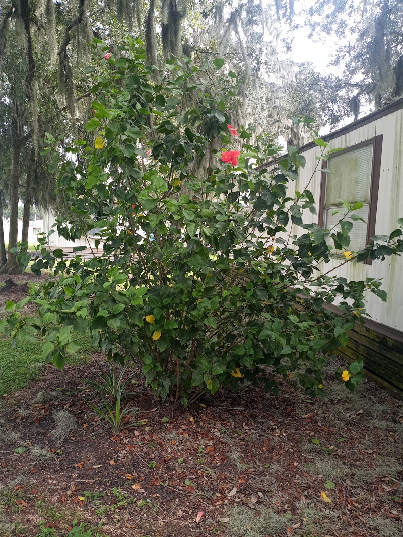 Lone Oaks Mobile Home Park photo 2