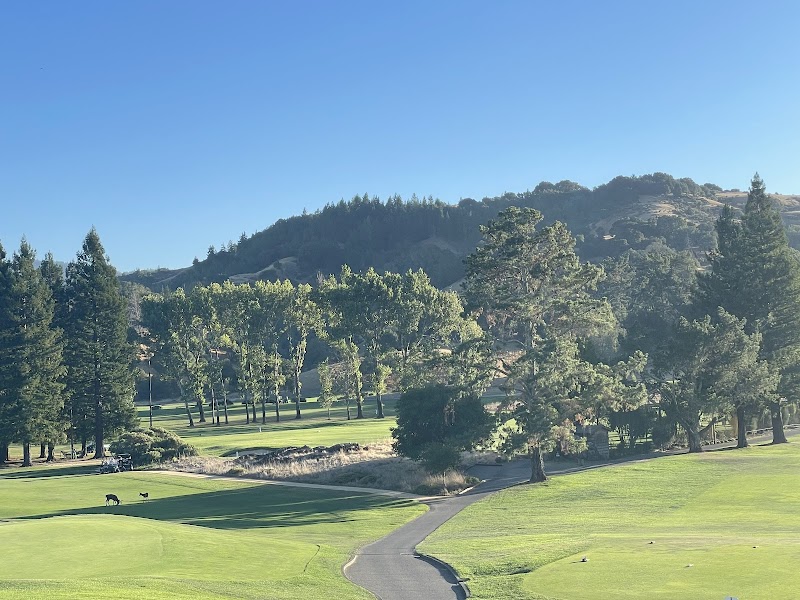 Photo of Meadow Club