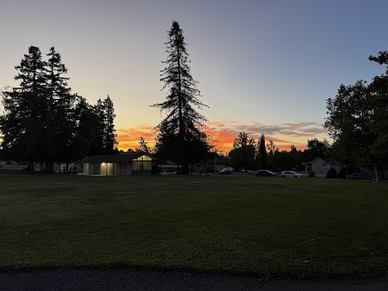 Wilson Park photo 5