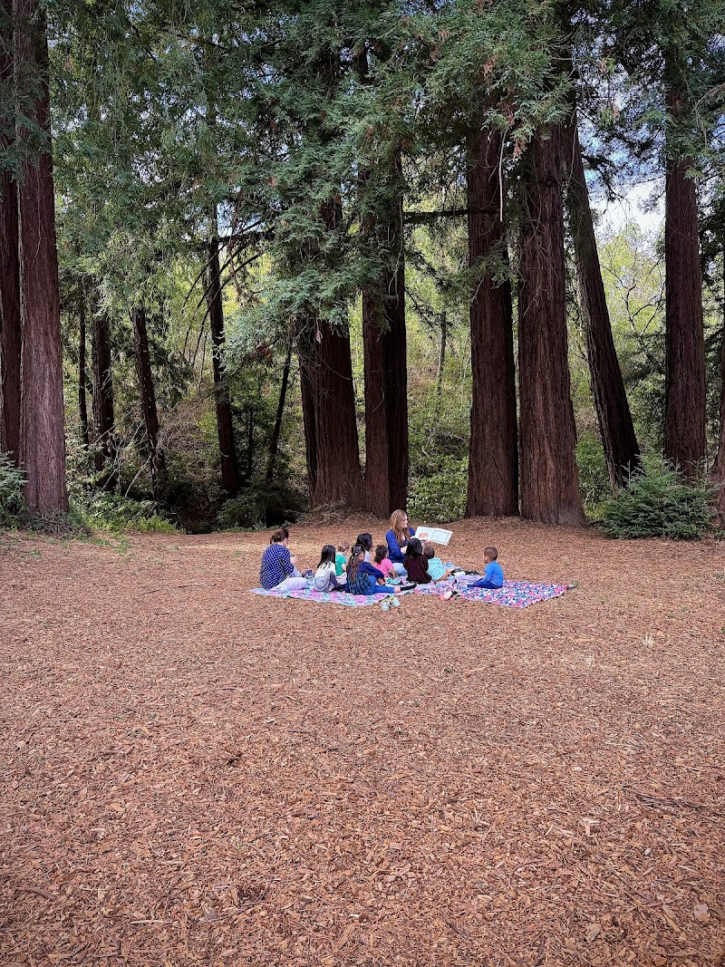 Photo of TippiToes Preschool