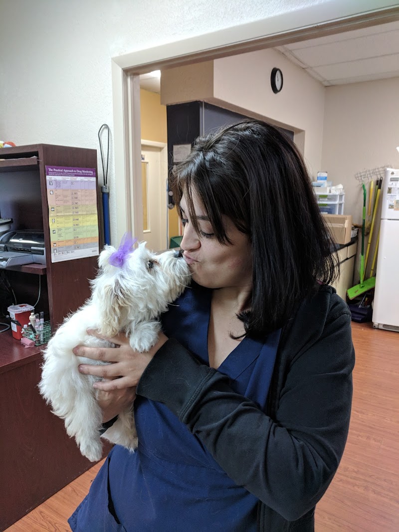 Noah's Ark Animal Hospital photo 2