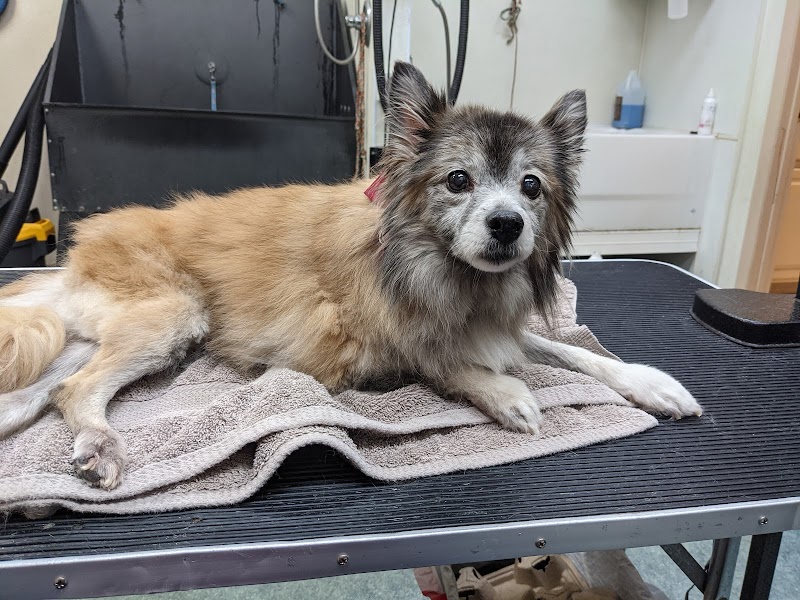 Noah's Ark Animal Hospital photo 5