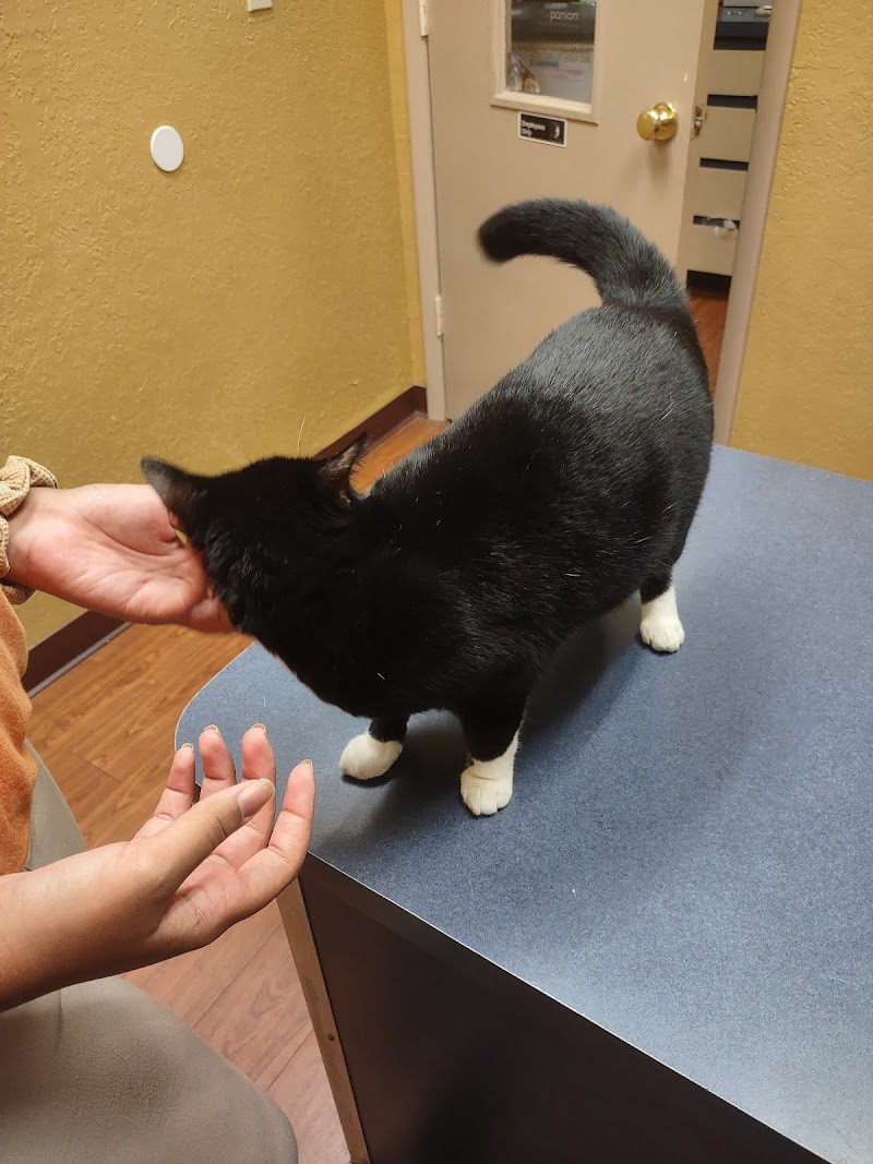 Noah's Ark Animal Hospital photo 4