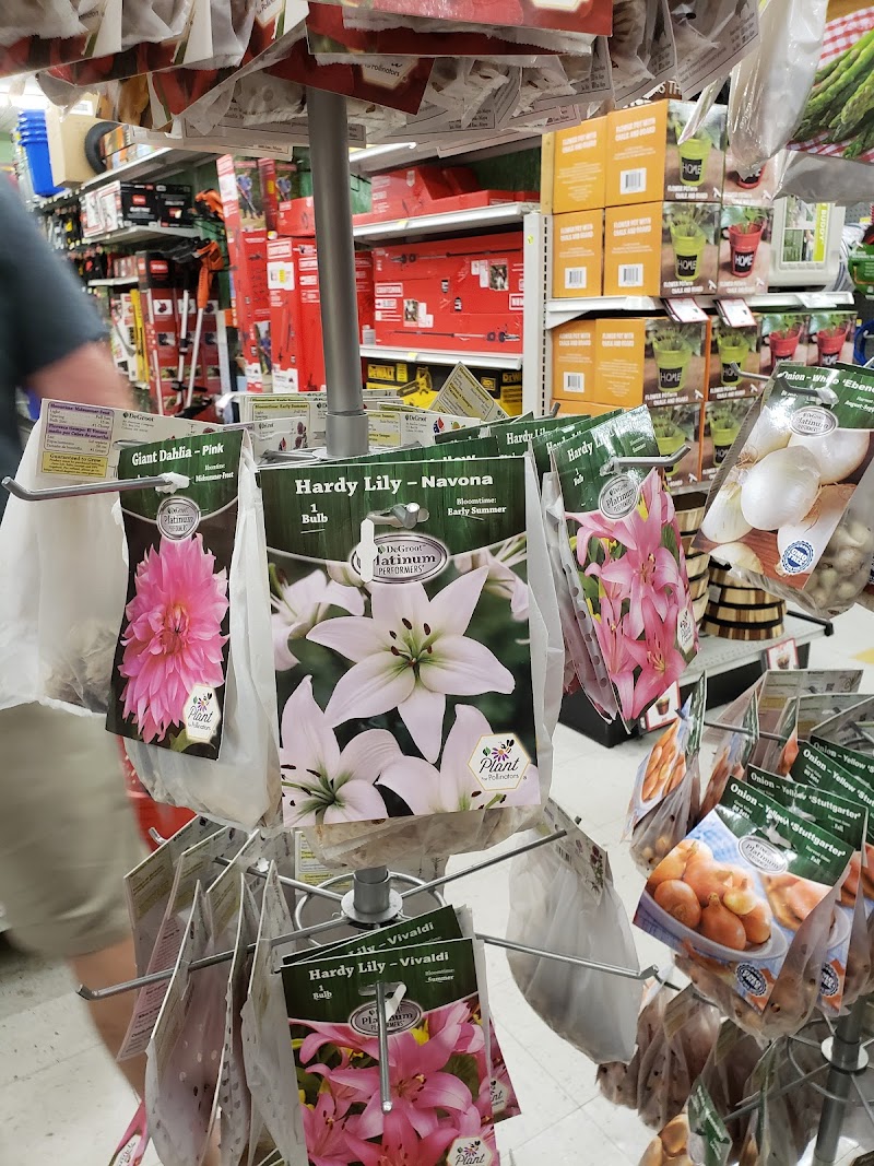 Pedrotti Ace Hardware photo 2