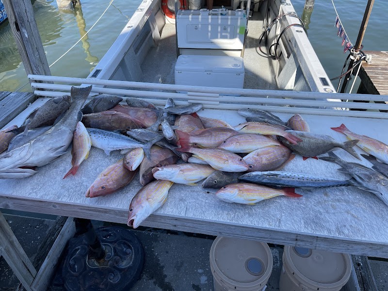 Bent Charters Fishing photo 2