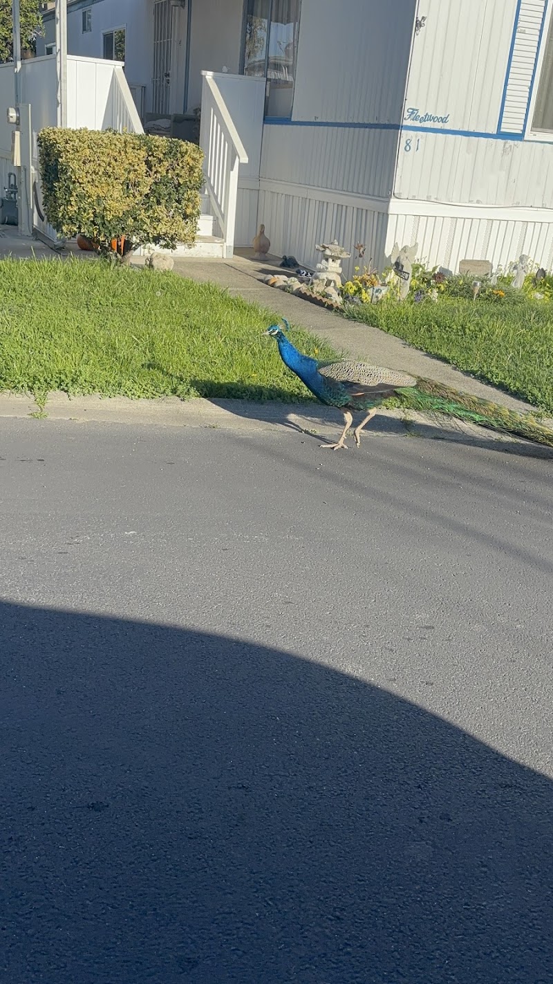 Casa Grande photo 3
