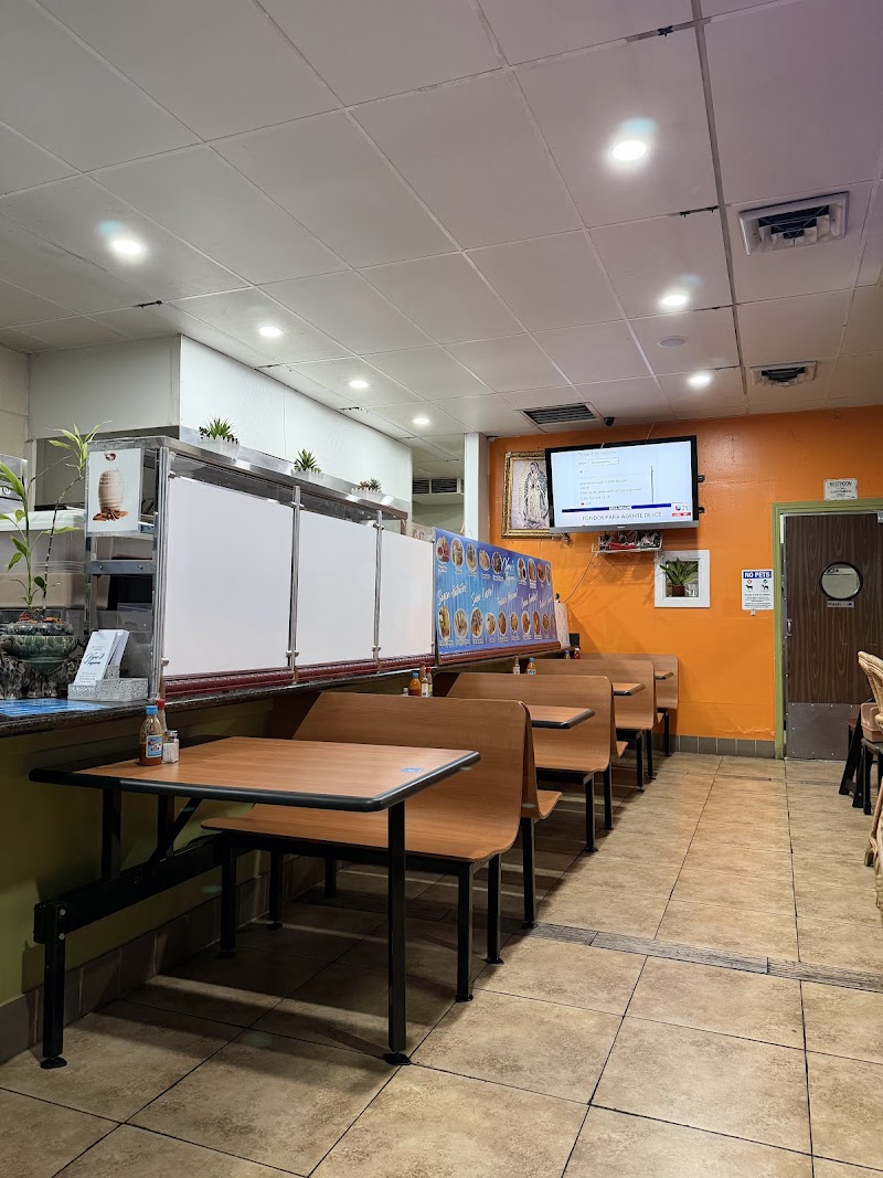 Vero's Taqueria photo 5