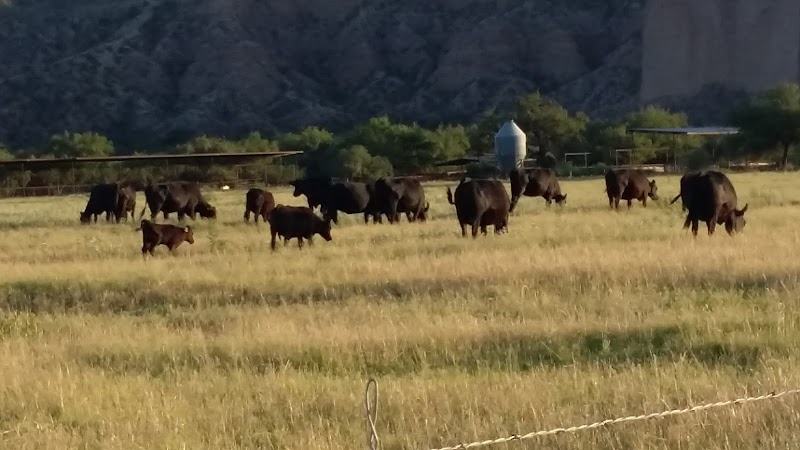 Rogers Heaven Sent Ranch Llc photo 2