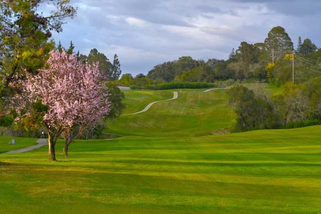 The Healdsburg Club House photo 3