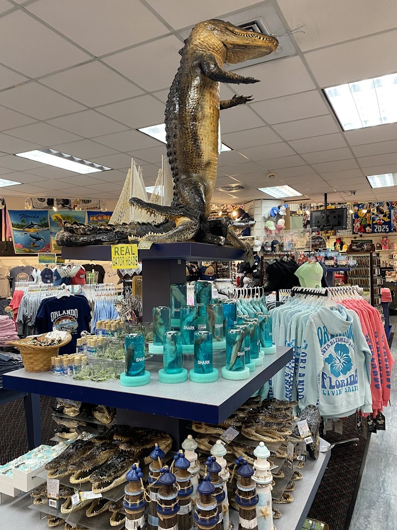 Studio West Gift Shop photo 4