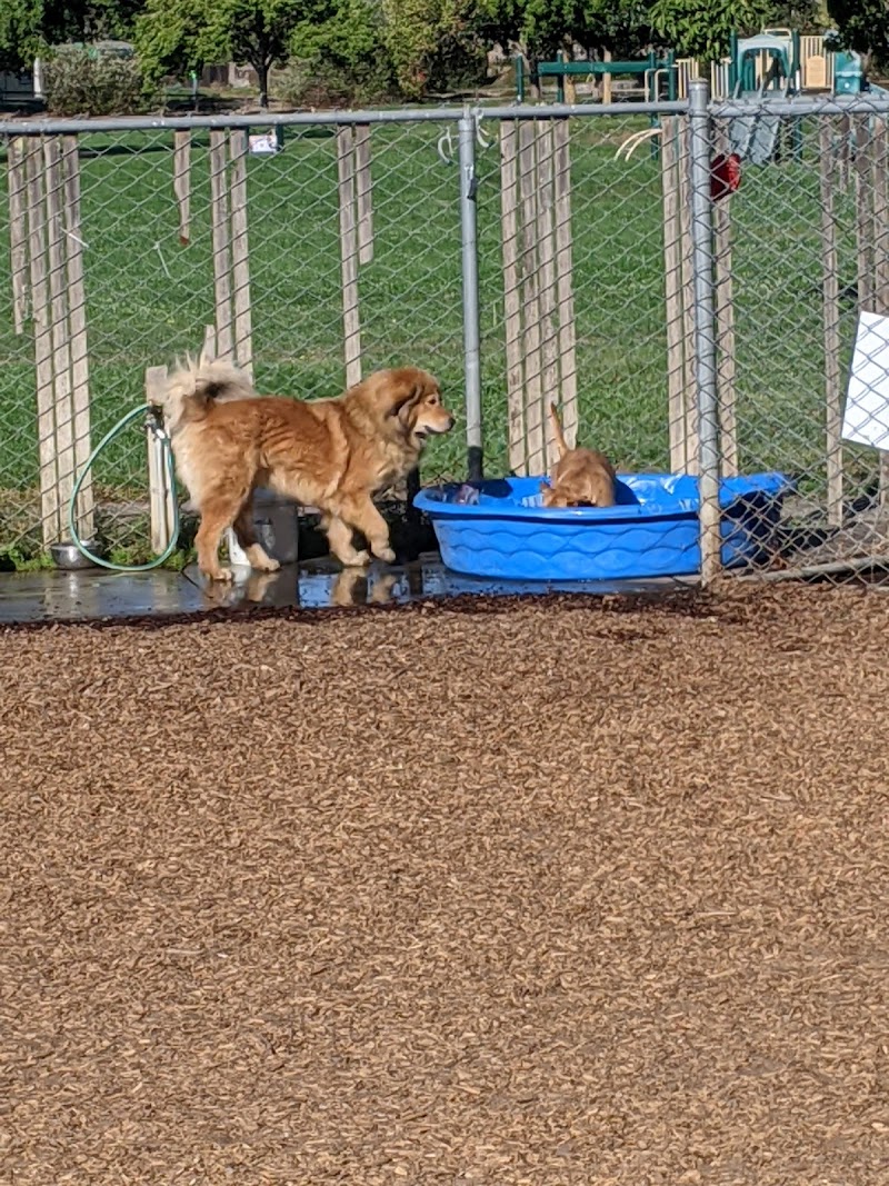 Charles "Chuck" Williams Memorial Dog Park photo 3