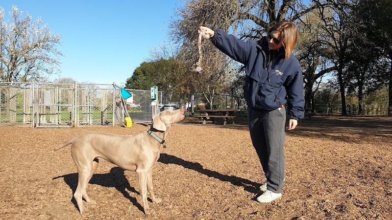 Charles "Chuck" Williams Memorial Dog Park photo 4