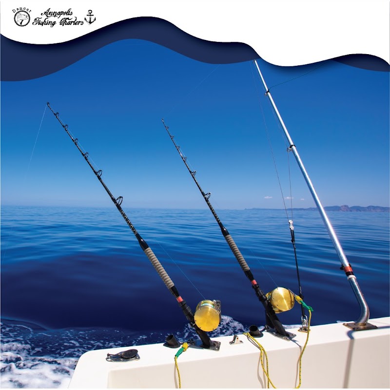Annapolis Fishing Charters (R) photo 3