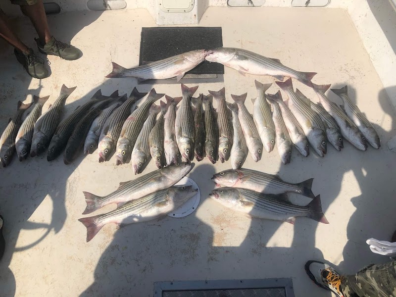 Annapolis Fishing Charters (R) photo 5