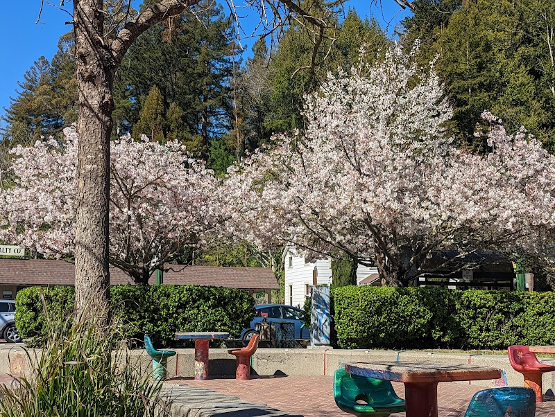 Guerneville Plaza photo 2