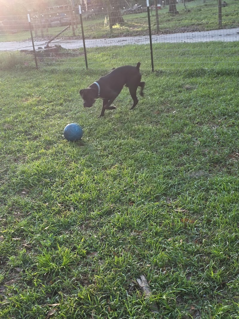 Staci's Pet Sitting & Training LLC photo 3