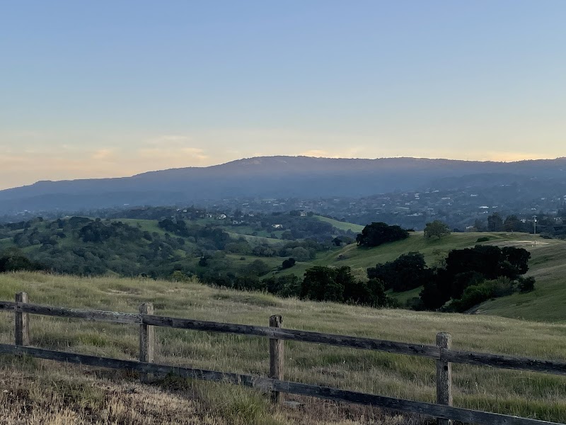 Stanford Dish photo 5