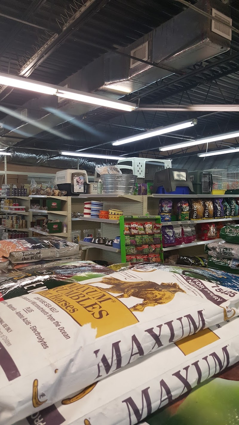 Fox's Feed Depot photo 2