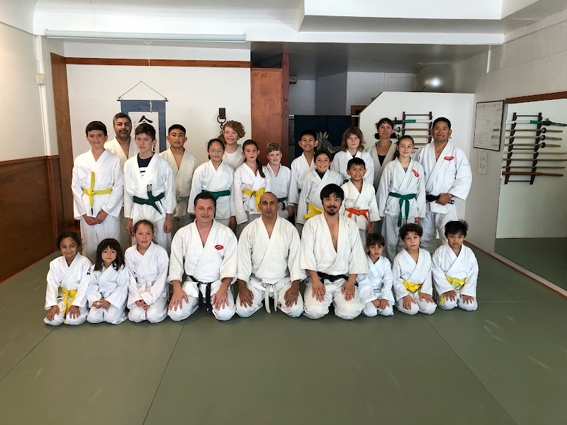 Photo of Aikido Institute