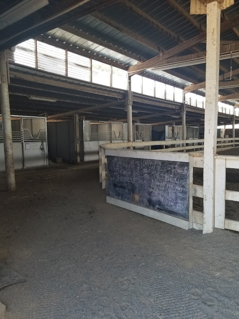 Gum Tree Ranch photo 4