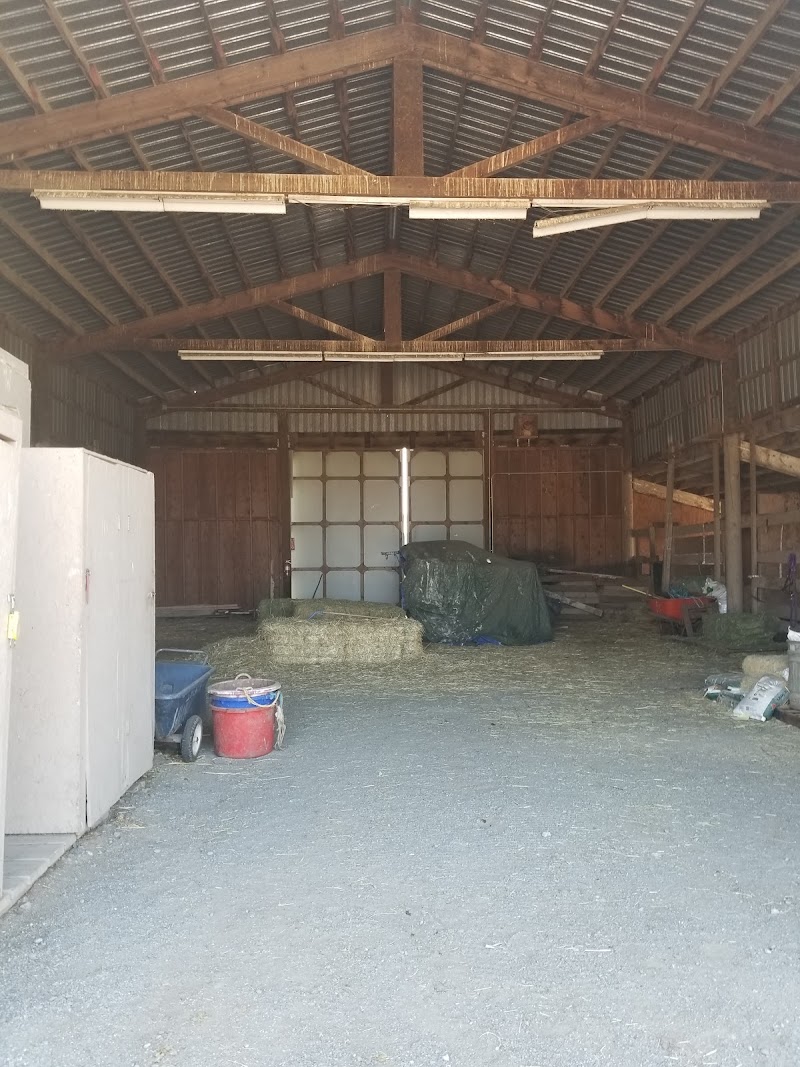 Gum Tree Ranch photo 3