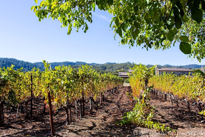 Photo of Tedeschi Family Winery - Napa Valley, CA