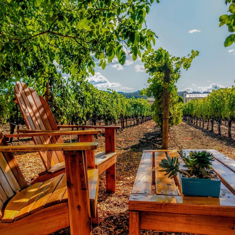 Tedeschi Family Winery - Napa Valley, CA photo 3