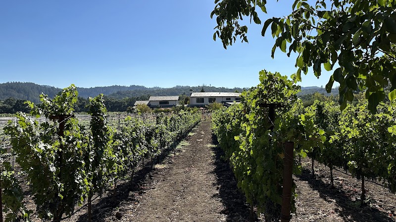 Tedeschi Family Winery - Napa Valley, CA photo 2