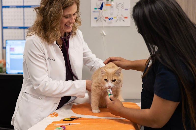 Photo of Los Altos Veterinary Clinic