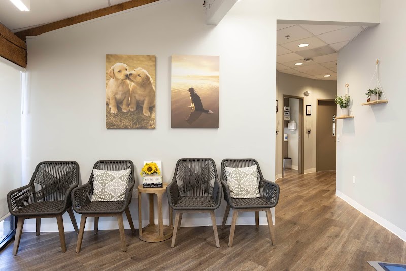 Los Altos Veterinary Clinic photo 3
