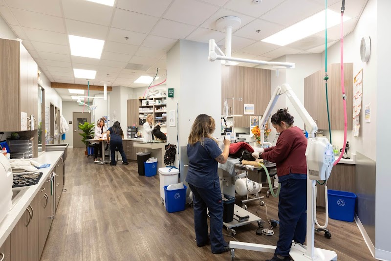 Los Altos Veterinary Clinic photo 5