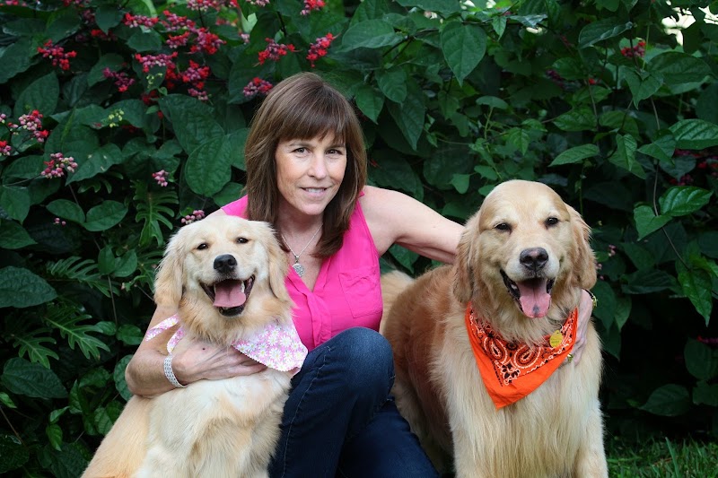 Photo of Baird Elizabeth DVM: Country Oaks Animal Hospital